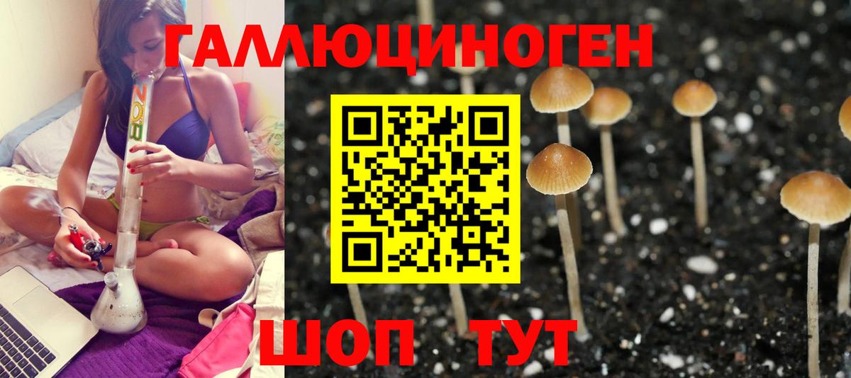 Галлюциногенные грибы Psilocybine cubensis  закладка  Кулебаки  Вход с VPN 
